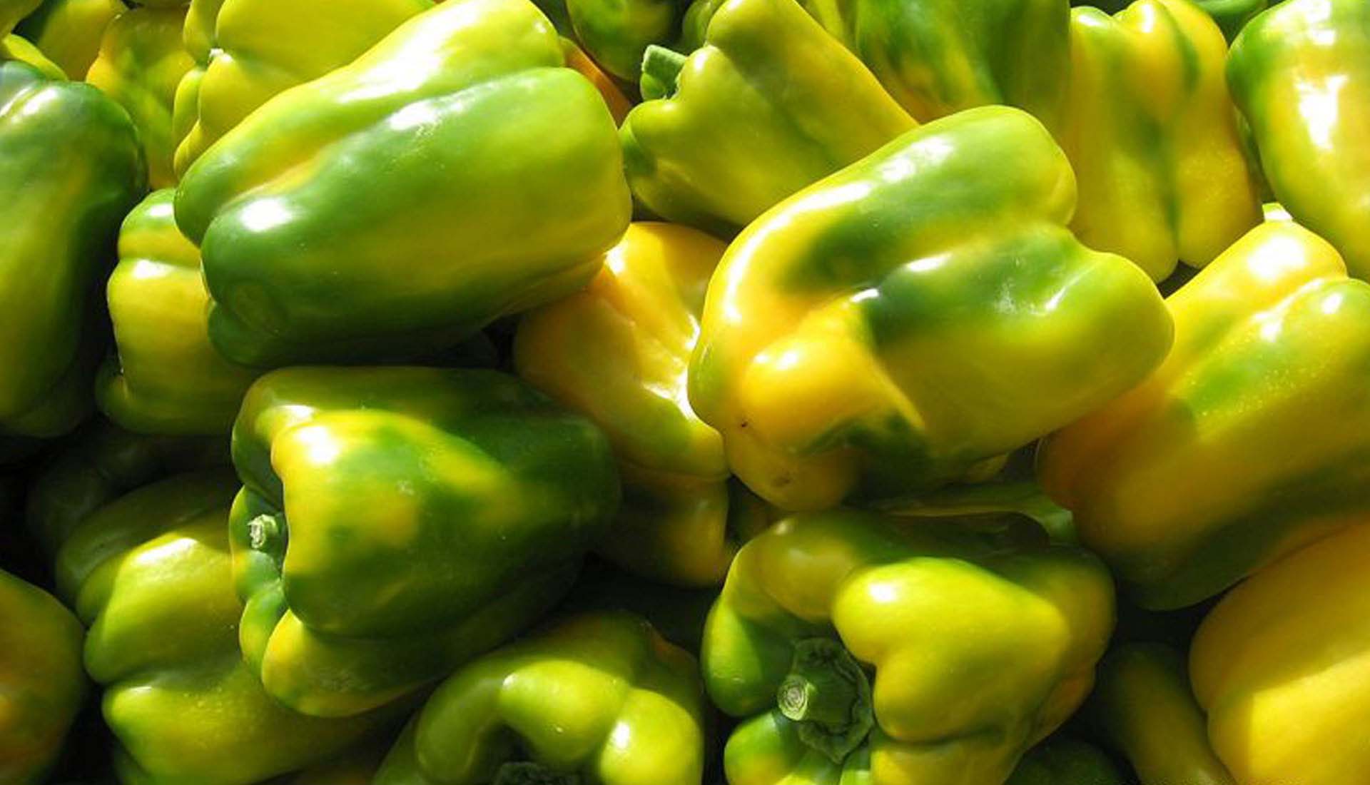 Peperoni trattati con concime organico - Peppers treated with organic fertilizer